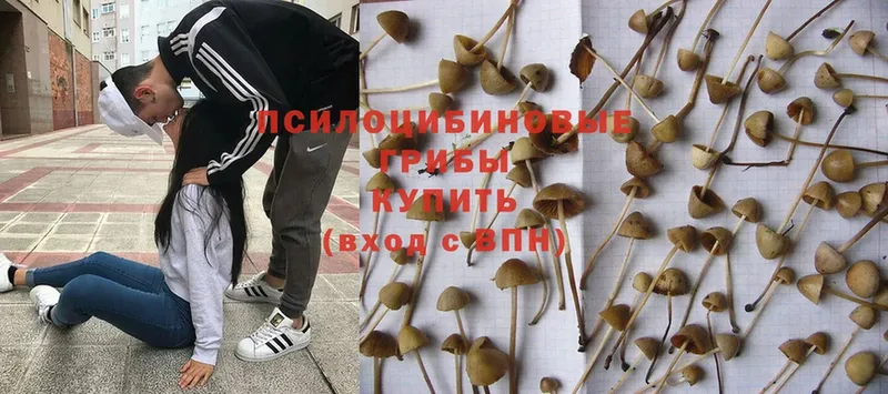 ОМГ ОМГ ТОР  купить закладку  Белогорск  Галлюциногенные грибы MAGIC MUSHROOMS 